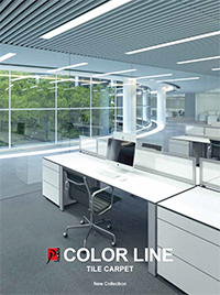 pdf catalog Color Line