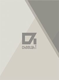 pdf catalog Cheetah Collection