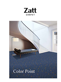 pdf catalog Zatt Color Point