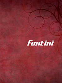 pdf catalog Fontini