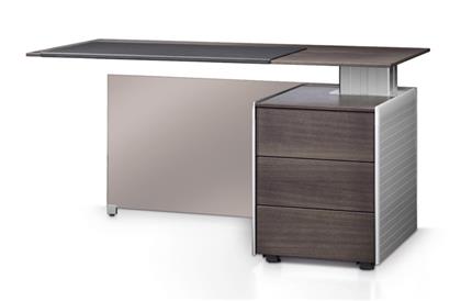 Executive Furniture  Free Desk