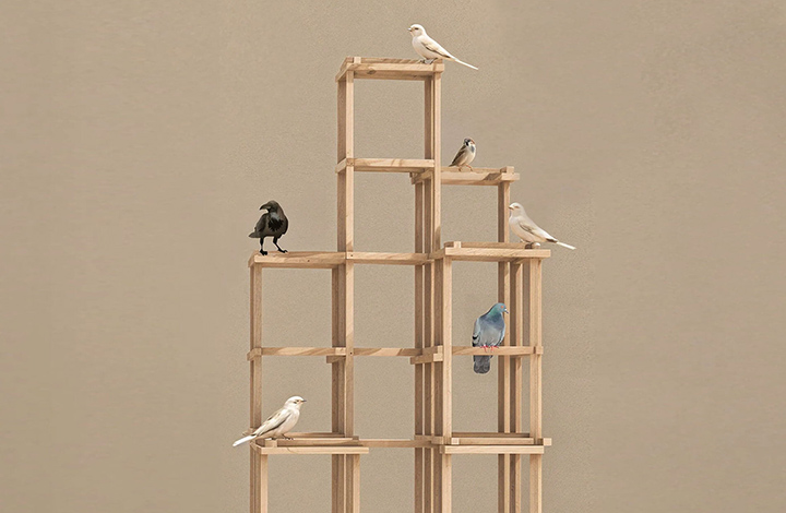 ده معمار برجسته، خانه‌های پرندگان را برای امور خیریه طراحی می‌کنند